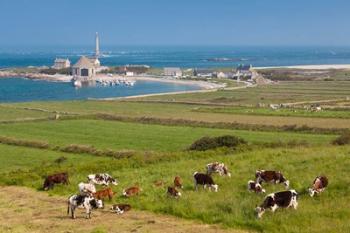 Goury Cap de la Hague Lighthouse | Obraz na stenu