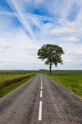 Road through the countryside, Beaumont, Somme, Picardy, France | Obraz na stenu