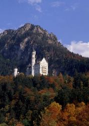 Bavarian Alps and Neuschwanstein Castle | Obraz na stenu