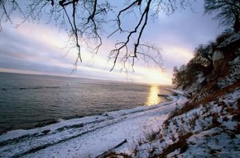 Snowy Coastline, Jasmund National Park | Obraz na stenu