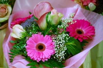 Flowers in Market | Obraz na stenu