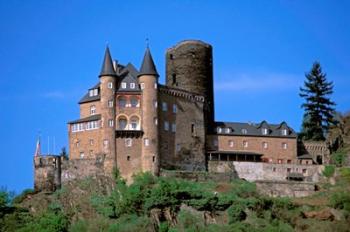 Castle, Rhine River, Germany | Obraz na stenu