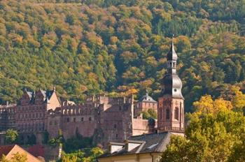 Heidelberg's Old Town, Germany | Obraz na stenu