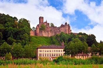 Wertheim Castle, Germany | Obraz na stenu