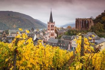 Germany, Rhineland-Pfalz, Bacharach, Elevated Town View In Autumn | Obraz na stenu