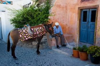 Resting Elderly Gentleman, Oia, Santorini, Greece | Obraz na stenu