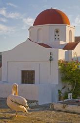 White Pelican Preening, Hora, Mykonos, Greece | Obraz na stenu