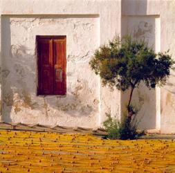 Greece, Mykonos, Fishing village, Nets Drying | Obraz na stenu