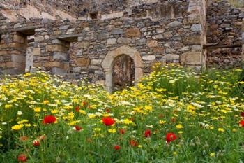 Old building and wildflowers, Island of Spinalonga, Crete, Greece | Obraz na stenu