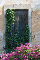 Detail of Old House, Assos, Kefalonia, Ionian Islands, Greece | Obraz na stenu