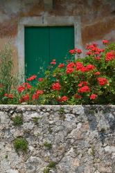 Vacation Villa Wall with Flowers, Matsoukata, Kefalonia, Ionian Islands, Greece | Obraz na stenu