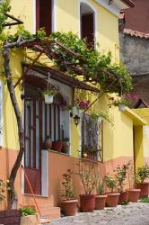 Yellow House, Agiasos, Lesvos, Mytilini, Aegean Islands, Greece | Obraz na stenu