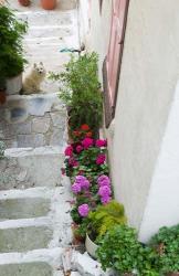 Street Detail, Vathy, Samos, Aegean Islands, Greece | Obraz na stenu