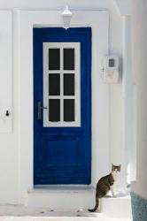 Village Door with Cat, Kokkari, Samos, Aegean Islands, Greece | Obraz na stenu
