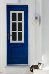 Greece, Aegean Islands, Samos, Door, Cat | Obraz na stenu
