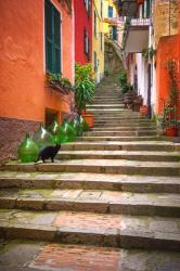 Europe, Italy, Monterosso Cat On Long Stairway | Obraz na stenu