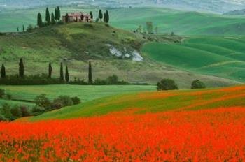 Europe, Italy, Tuscany The Belvedere Villa Landmark And Farmland | Obraz na stenu