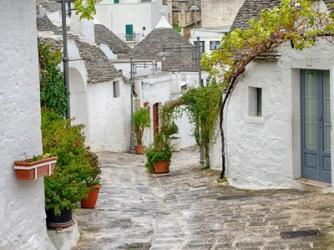 Typical Trulli Houses In Alberobello | Obraz na stenu