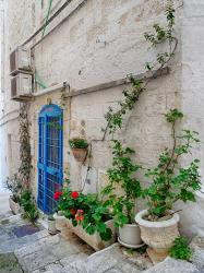 Italy, Puglia, Brindisi, Itria Valley, Ostuni Blue Door And Potted Plants | Obraz na stenu