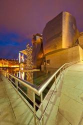 Guggenheim Museum lit at night, Bilbao, Spain | Obraz na stenu