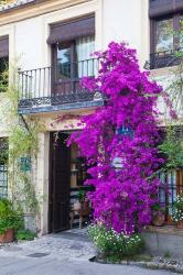 Spain, Granada The entrance of Hotel America | Obraz na stenu