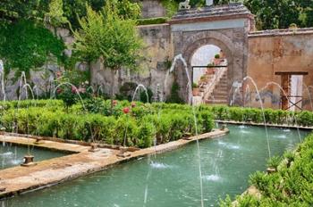 The Generalife gardens, Alhambra grounds, Granada, Spain | Obraz na stenu