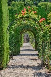 Archway of trees in the gardens of the Alhambra, Granada, Spain | Obraz na stenu