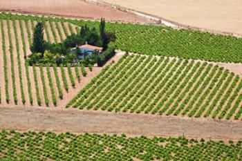 Spain, Granada Crops of the Andalusia Valley | Obraz na stenu