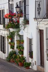 Spain, Andalucia Region, Cadiz, Grazalema Potted plants by a home | Obraz na stenu