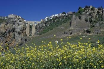 Wildflowers in El Tajo Gorge and Punte Nuevo, Ronda, Spain | Obraz na stenu