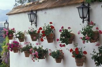 Geraniums along White Wall of Palacio de Mondragon, Ronda, Spain | Obraz na stenu