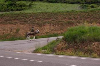 Old man rides a donkey loaded with wood, Anguiano, La Rioja, Spain | Obraz na stenu