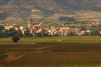 Village of Brinas surrounded by Vineyards, La Rioja Region, Spain | Obraz na stenu