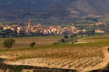 Village of Brinas surrounded by Vineyards, La Rioja Region, Spain | Obraz na stenu