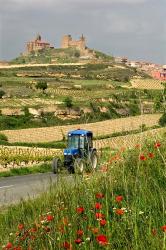 Blue tractor on rural road, San Vicente de la Sonsierra Village, La Rioja, Spain | Obraz na stenu