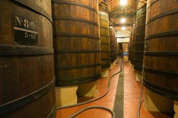 Large Oak tanks holding wine, Bodega Muga Winery, Haro village, La Rioja, Spain | Obraz na stenu