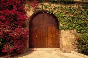 Doorway at Consolat de Mar, Palma de Mallorca, Balearics, Spain | Obraz na stenu