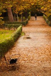 Parque del Buen Retiro, Madrid, Spain | Obraz na stenu