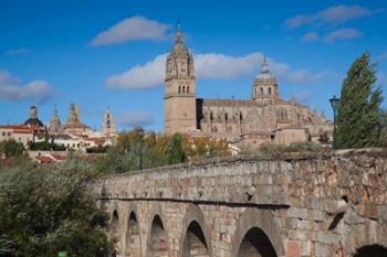 Puente Romano, Salamanca, Spain | Obraz na stenu