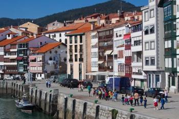 Spain, Basque Country, Vizcaya, Lekeitio Harbor | Obraz na stenu
