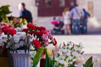 Spain, Cadiz, Plaza de Topete Flower Market | Obraz na stenu