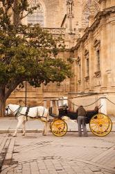 Spain, Seville, Horse carriage, Plaza del Triunfo | Obraz na stenu