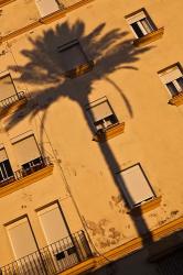 Spain, Cadiz, Campo del Sur, Palm Shadow | Obraz na stenu