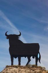 Famous Bull Symbols of the Bodegas Osborne, Puerto de Santa Maria, Spain | Obraz na stenu