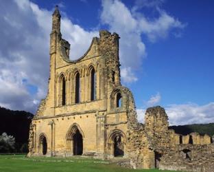 Byland Abbey, North Yorkshire, England | Obraz na stenu