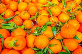 Oranges Displayed In Market In Shepherd's Bush, Londo | Obraz na stenu