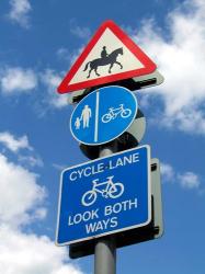 Sign, Epping Forest, London, England | Obraz na stenu