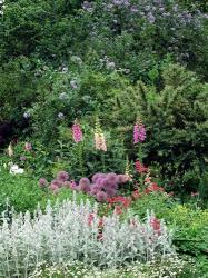 Nash Garden, St James Park, London, England | Obraz na stenu