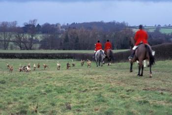 The Quorn Fox Hunt, Leicestershire, England | Obraz na stenu