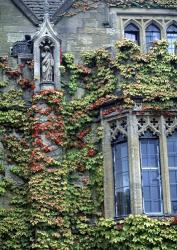 Halls of Ivy, Oxford University, England | Obraz na stenu